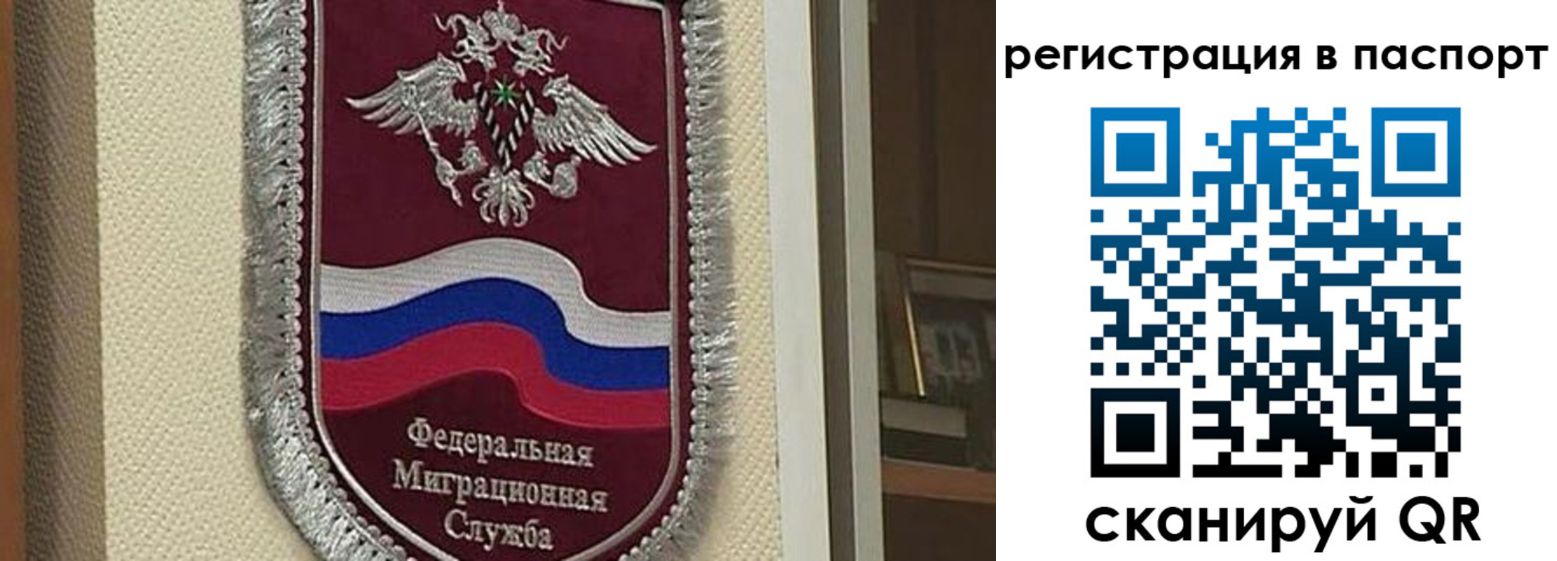 прописка законно в Каменск-Шахтинском